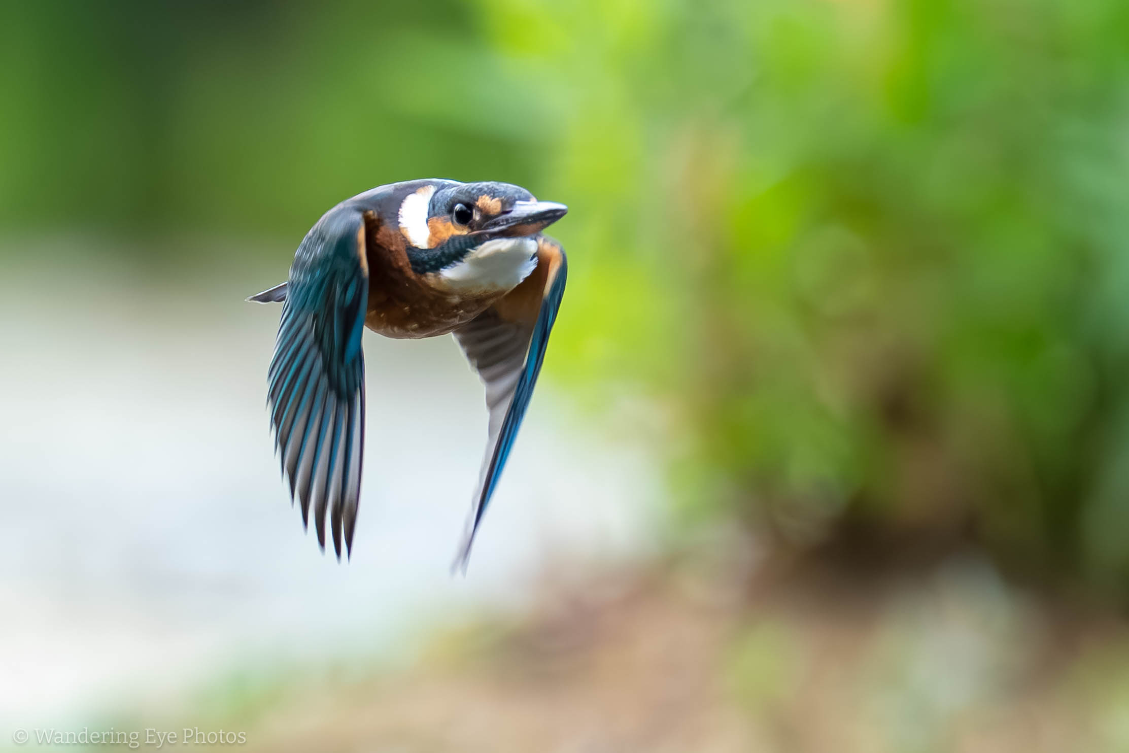 2023 08 16 17.15.30 DSC01175 Enhanced NR